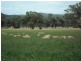 “Galwary” 1004 Amaroo Way, Eugowra NSW 2806