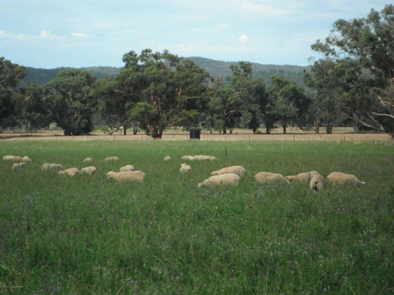 “Galwary” 1004 Amaroo Way, Eugowra NSW 2806