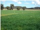 “Galwary” 1004 Amaroo Way, Eugowra NSW 2806