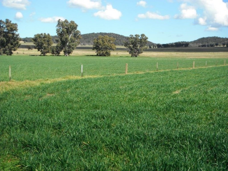 “Galwary” 1004 Amaroo Way, Eugowra NSW 2806