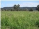 “Galwary” 1004 Amaroo Way, Eugowra NSW 2806