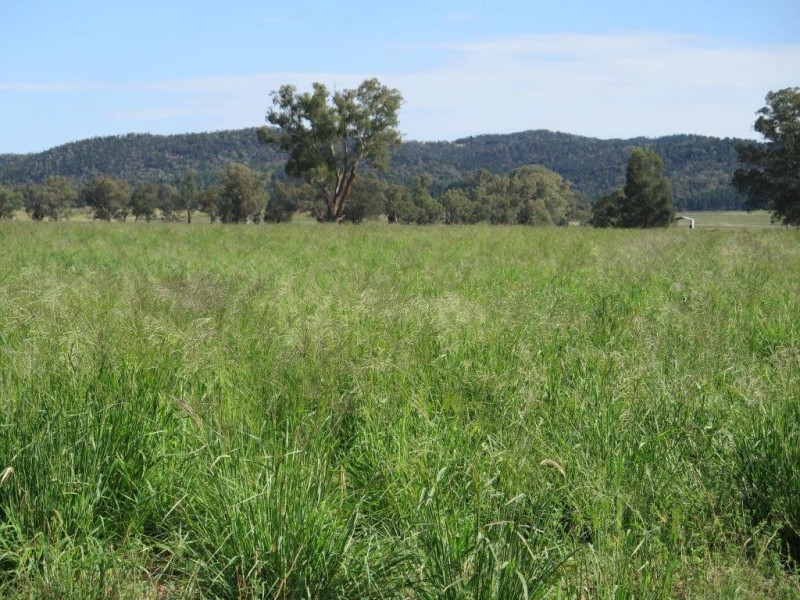 “Galwary” 1004 Amaroo Way, Eugowra NSW 2806