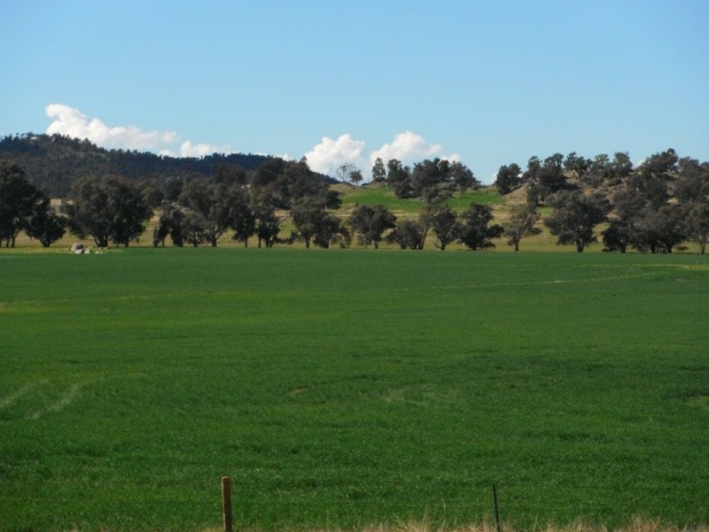 “Galwary” 1004 Amaroo Way, Eugowra NSW 2806