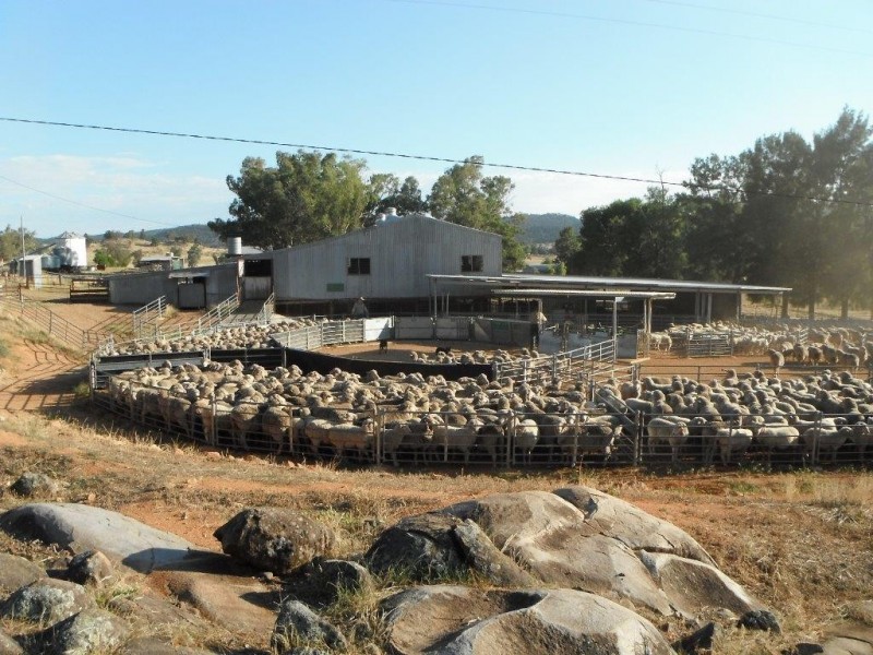 “Galwary” 1004 Amaroo Way, Eugowra NSW 2806