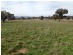 “Amaroo” 3553 Gundagai Road, Junee NSW 2663