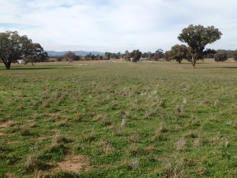 “Amaroo” 3553 Gundagai Road, Junee NSW 2663