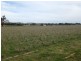 “Amaroo” 3553 Gundagai Road, Junee NSW 2663