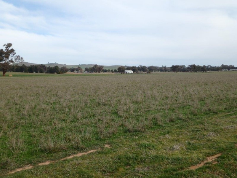 “Amaroo” 3553 Gundagai Road, Junee NSW 2663