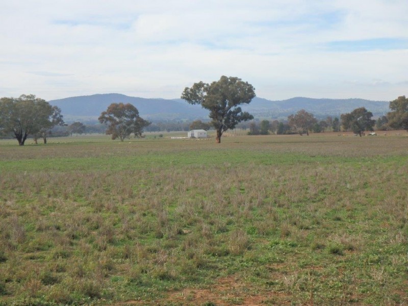 “Amaroo” 3553 Gundagai Road, Junee NSW 2663