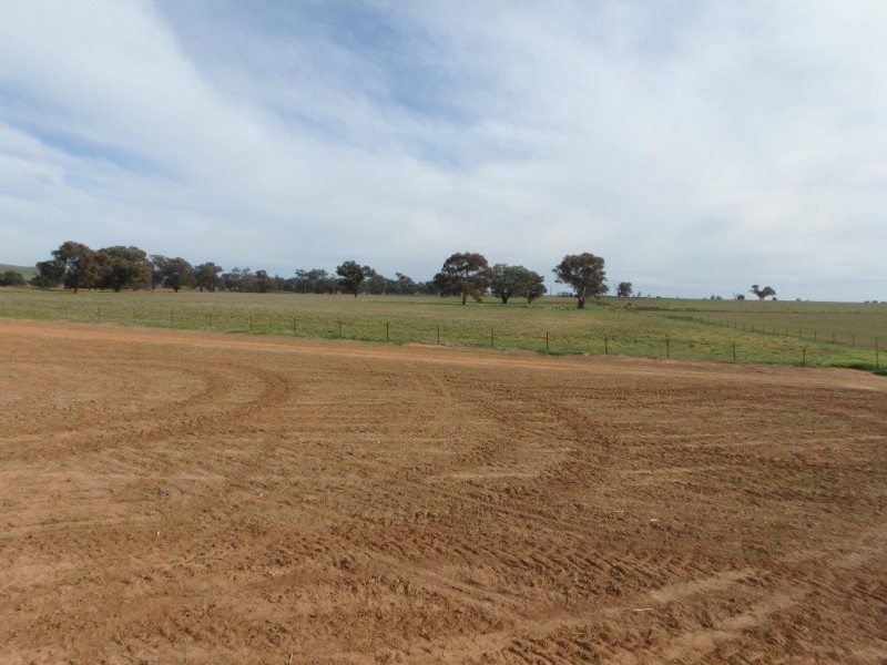 “Amaroo” 3553 Gundagai Road, Junee NSW 2663