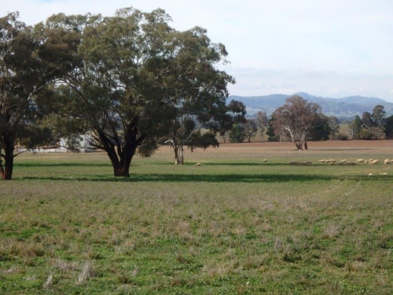 “Amaroo” 3553 Gundagai Road, Junee NSW 2663