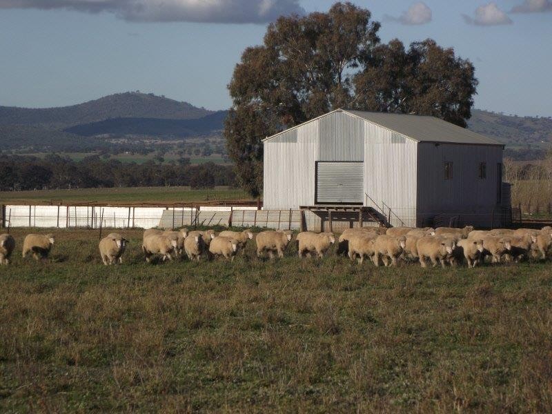 “Amaroo” 3553 Gundagai Road, Junee NSW 2663