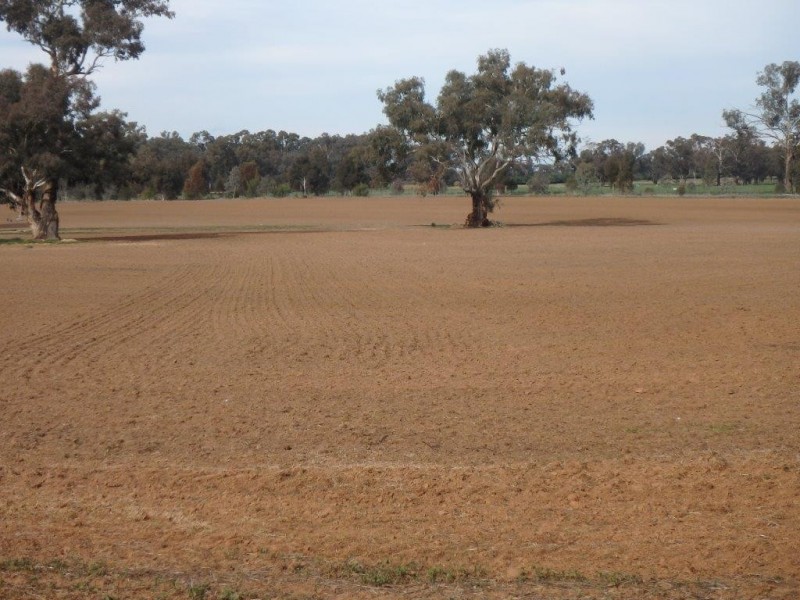 “Amaroo” 3553 Gundagai Road, Junee NSW 2663
