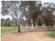 “Amaroo” 3553 Gundagai Road, Junee NSW 2663
