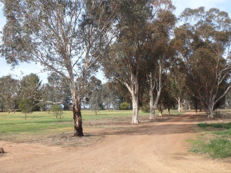 “Amaroo” 3553 Gundagai Road, Junee NSW 2663