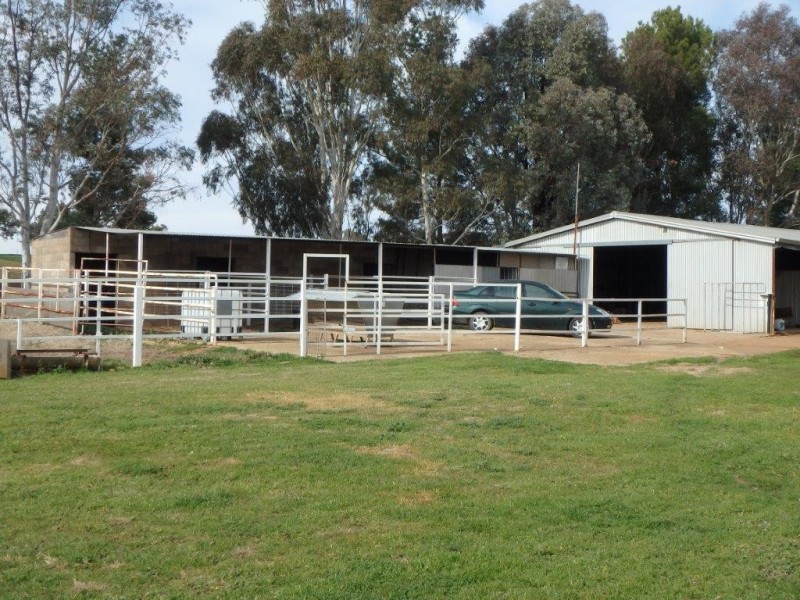 “Amaroo” 3553 Gundagai Road, Junee NSW 2663