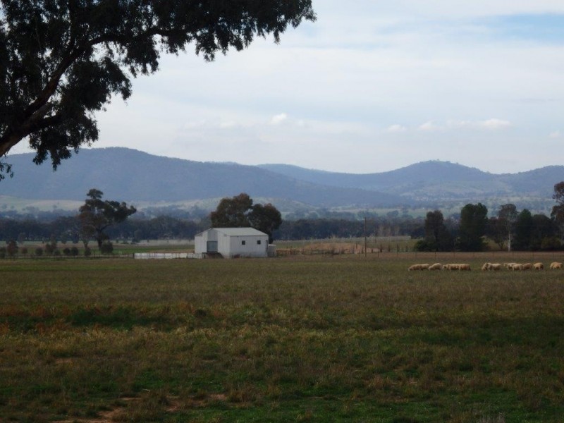 “Amaroo” 3553 Gundagai Road, Junee NSW 2663
