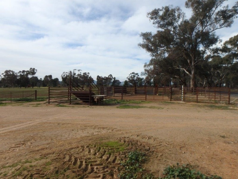 “Amaroo” 3553 Gundagai Road, Junee NSW 2663