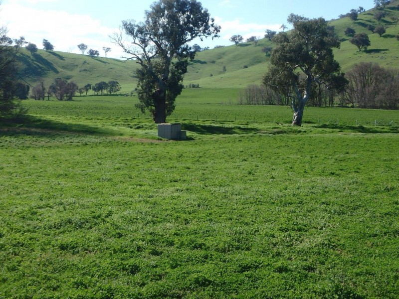 “Spillbury” 307 Burra Road, Gundagai NSW 2722