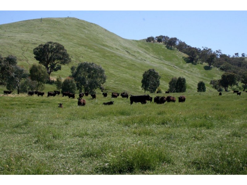 “Spillbury” 307 Burra Road, Gundagai NSW 2722