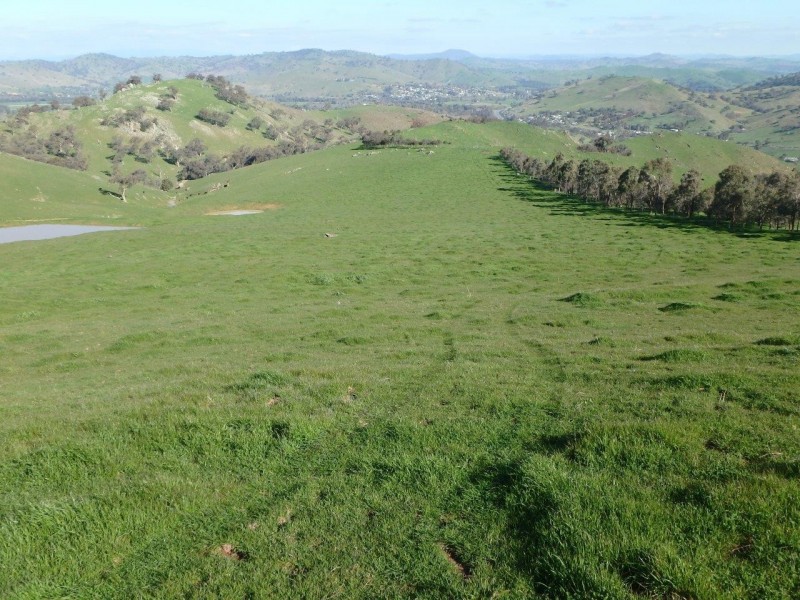 “Spillbury” 307 Burra Road, Gundagai NSW 2722