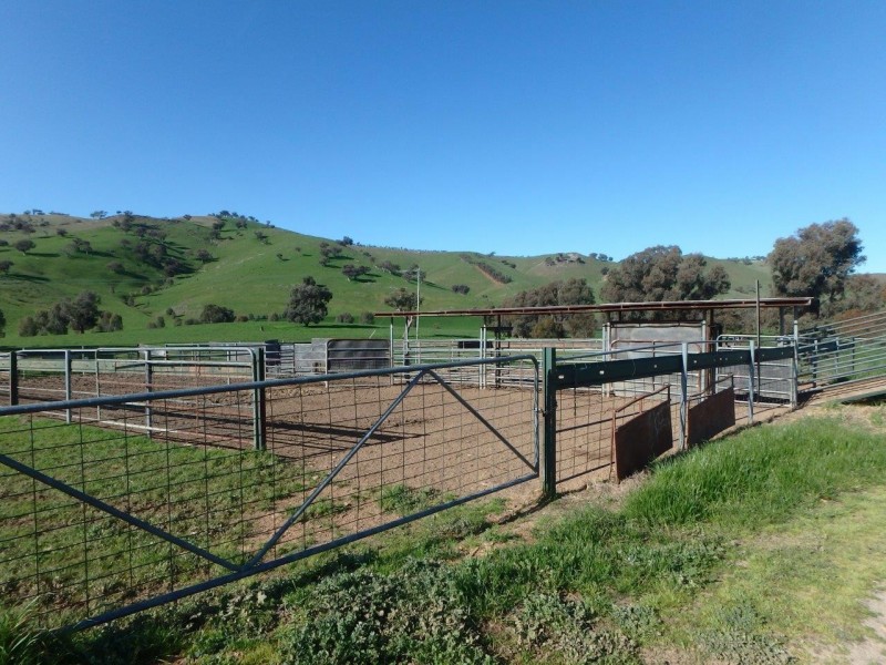 “Spillbury” 307 Burra Road, Gundagai NSW 2722