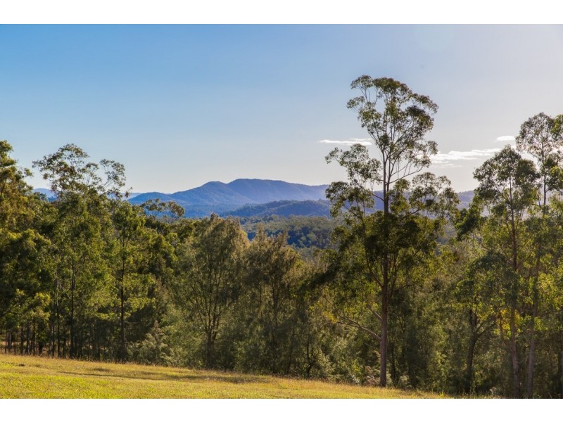 543 Purgatory Creek Road, Grafton NSW 2460