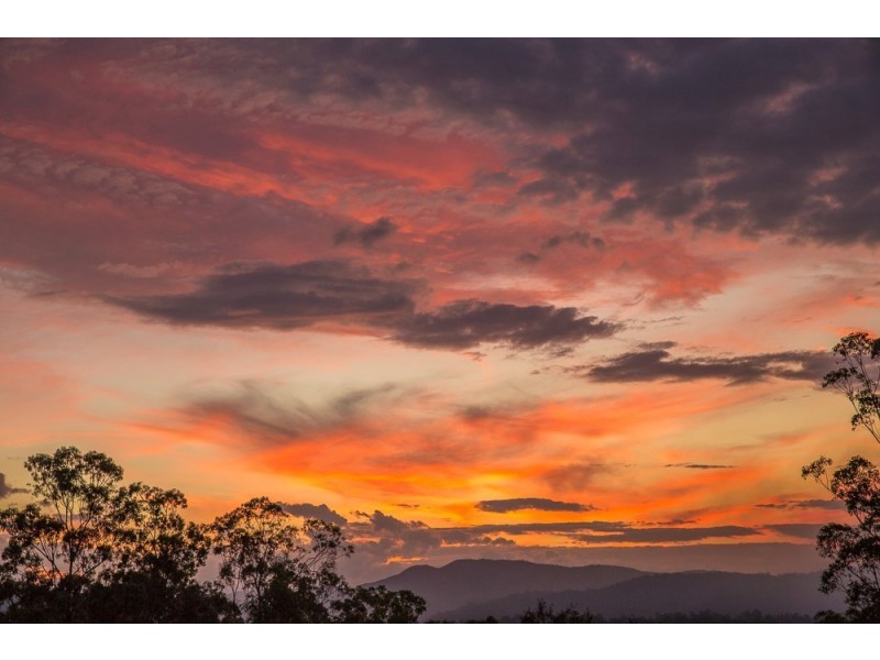 543 Purgatory Creek Road, Grafton NSW 2460