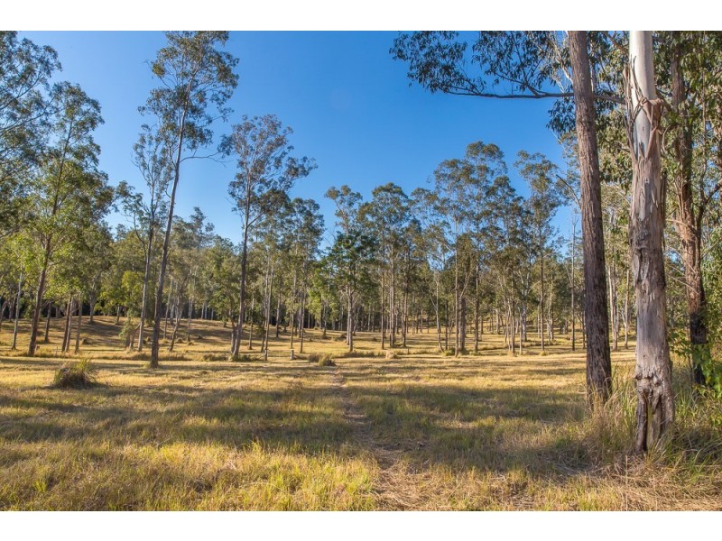 543 Purgatory Creek Road, Grafton NSW 2460