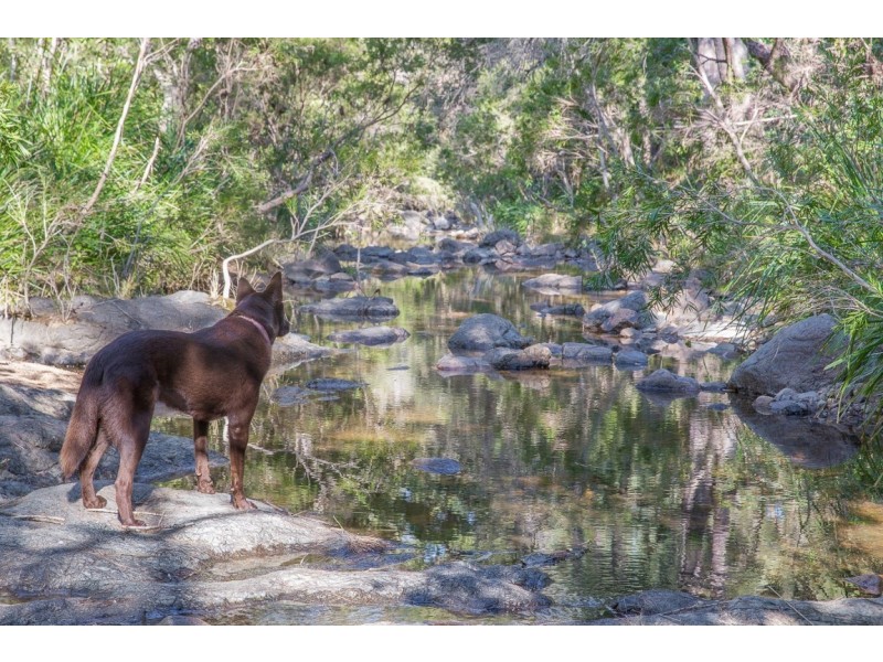 543 Purgatory Creek Road, Grafton NSW 2460