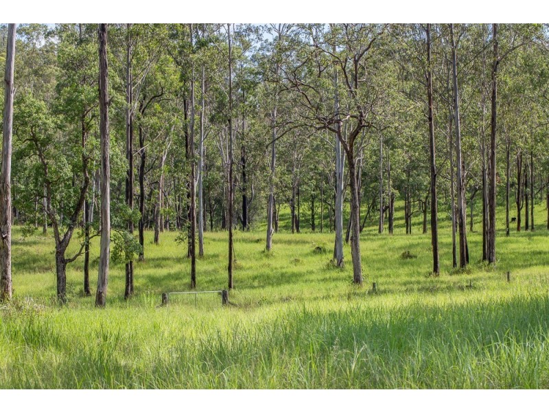 543 Purgatory Creek Road, Grafton NSW 2460