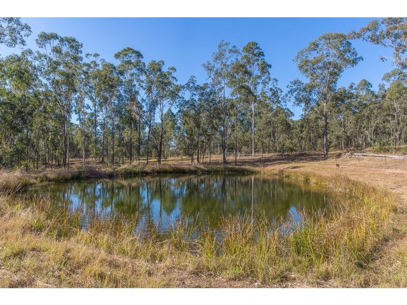 543 Purgatory Creek Road, Grafton NSW 2460