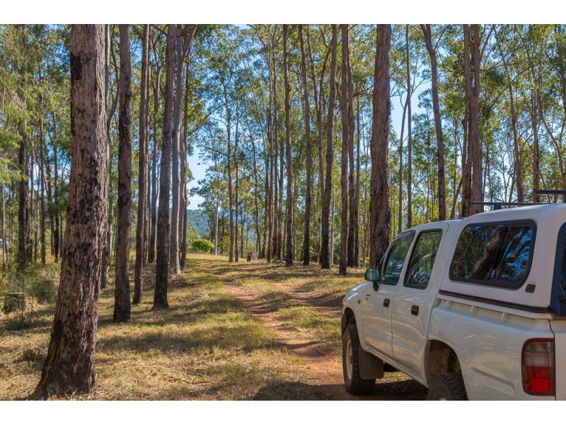 543 Purgatory Creek Road, Grafton NSW 2460