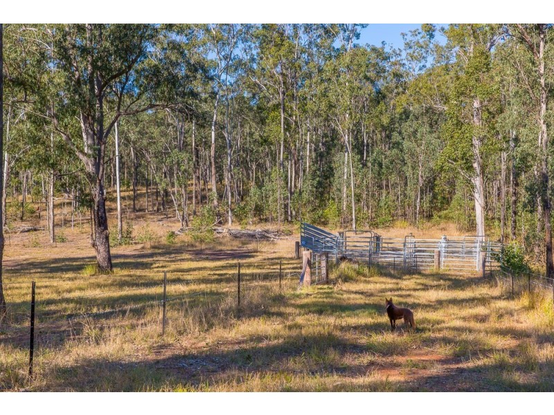 543 Purgatory Creek Road, Grafton NSW 2460