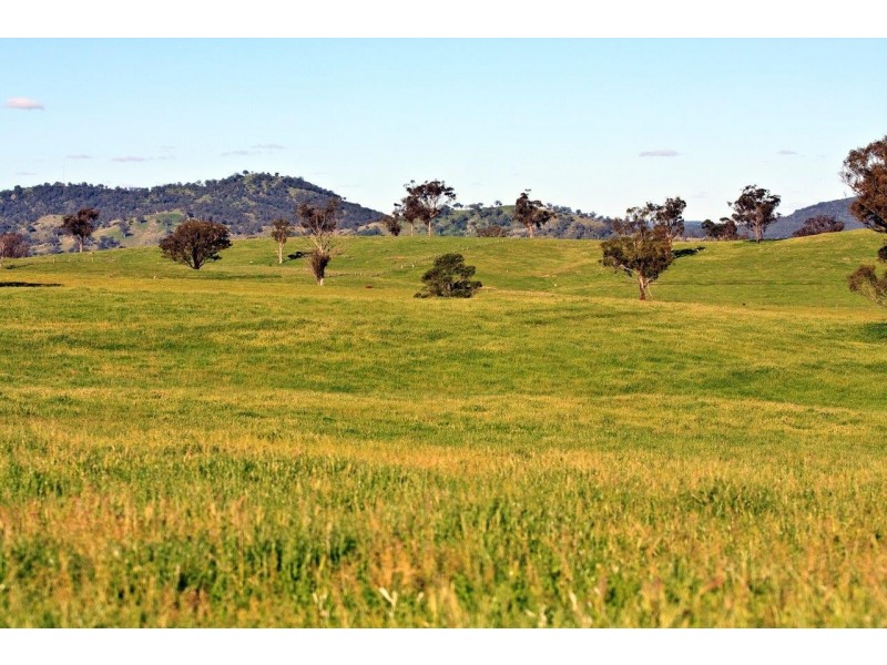 “Romani” 742 Bendemeer Road, Kingstown NSW 2358