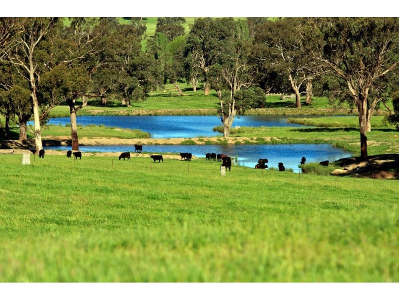 “Romani” 742 Bendemeer Road, Kingstown NSW 2358