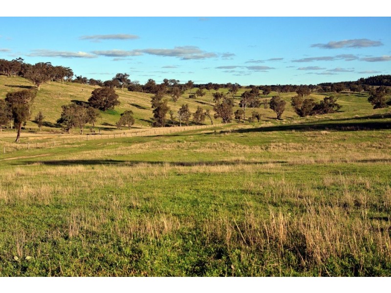 “Romani” 742 Bendemeer Road, Kingstown NSW 2358