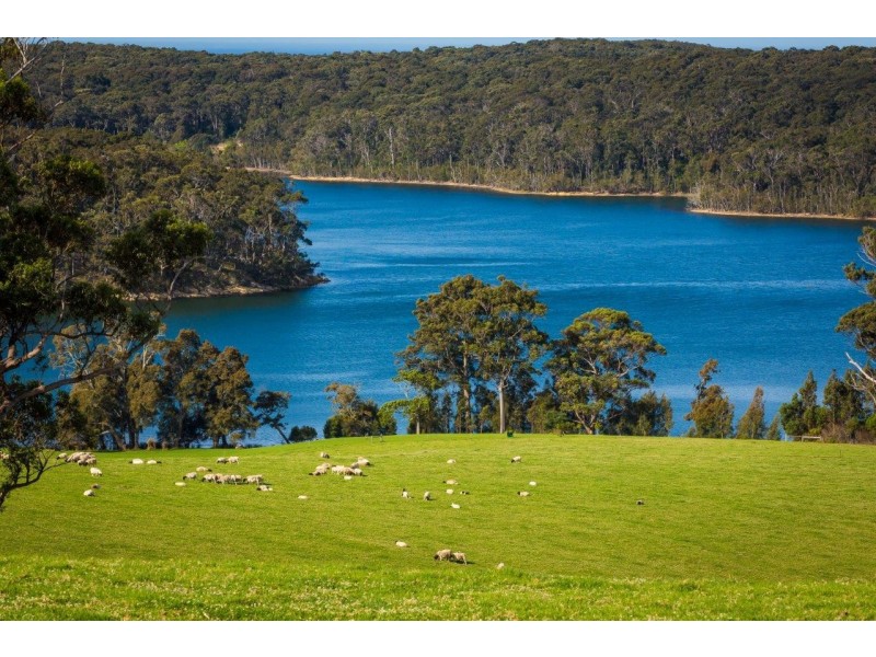 Silvermere Farm 855 Old Highway, Narooma NSW 2546