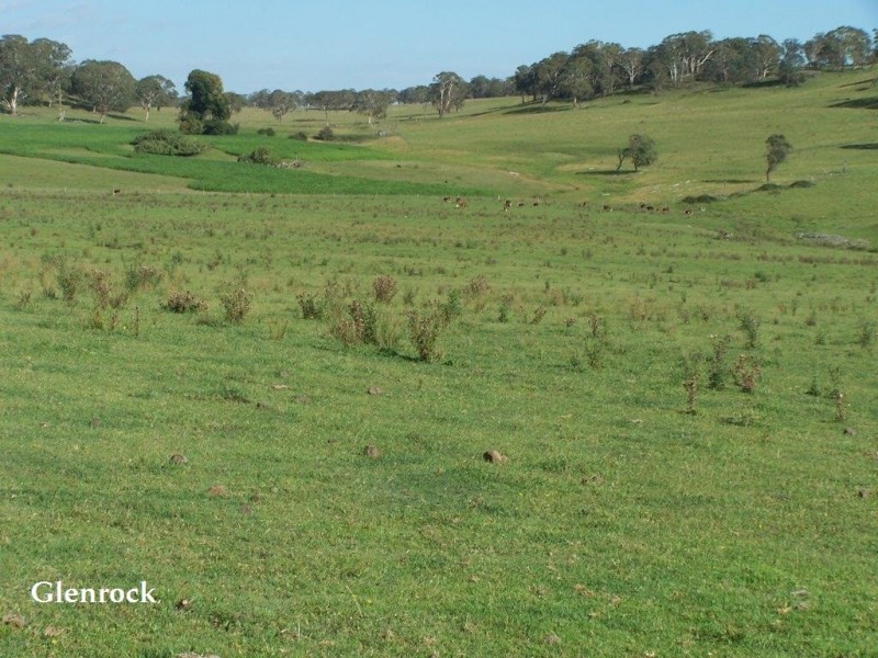 250 Sissons Road, Aberfoyle NSW 2350