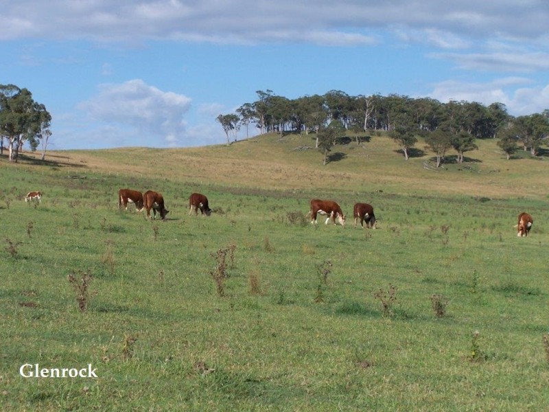 250 Sissons Road, Aberfoyle NSW 2350