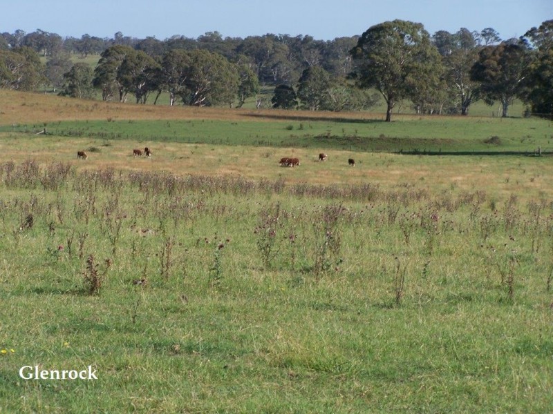250 Sissons Road, Aberfoyle NSW 2350