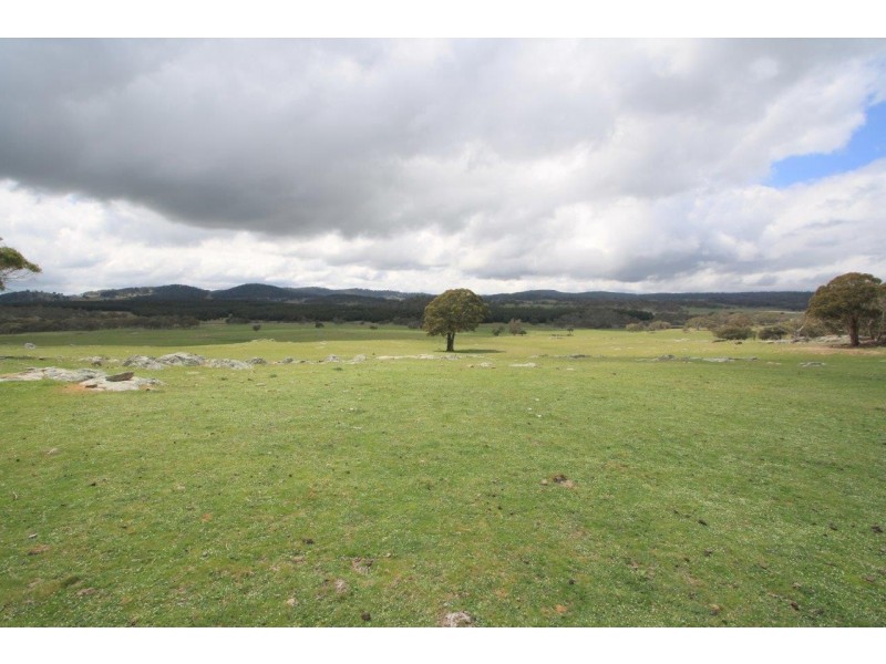 “Moles Station” 248 Hains Road, Nimmitabel NSW 2631