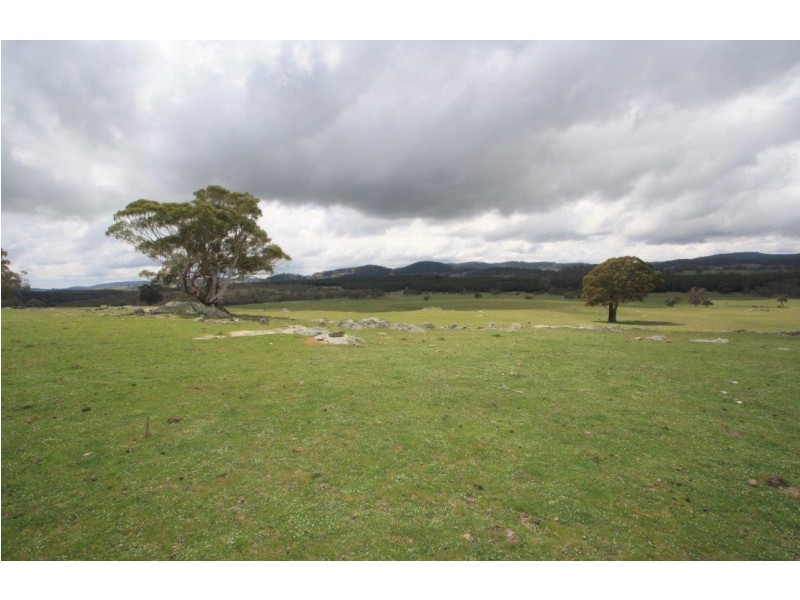 “Moles Station” 248 Hains Road, Nimmitabel NSW 2631