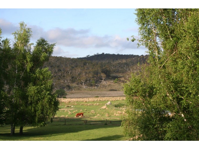 “Moles Station” 248 Hains Road, Nimmitabel NSW 2631