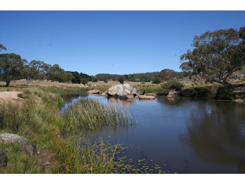 “Moles Station” 248 Hains Road, Nimmitabel NSW 2631