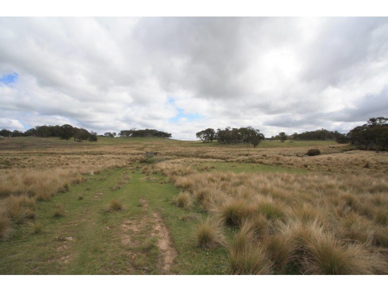 “Moles Station” 248 Hains Road, Nimmitabel NSW 2631