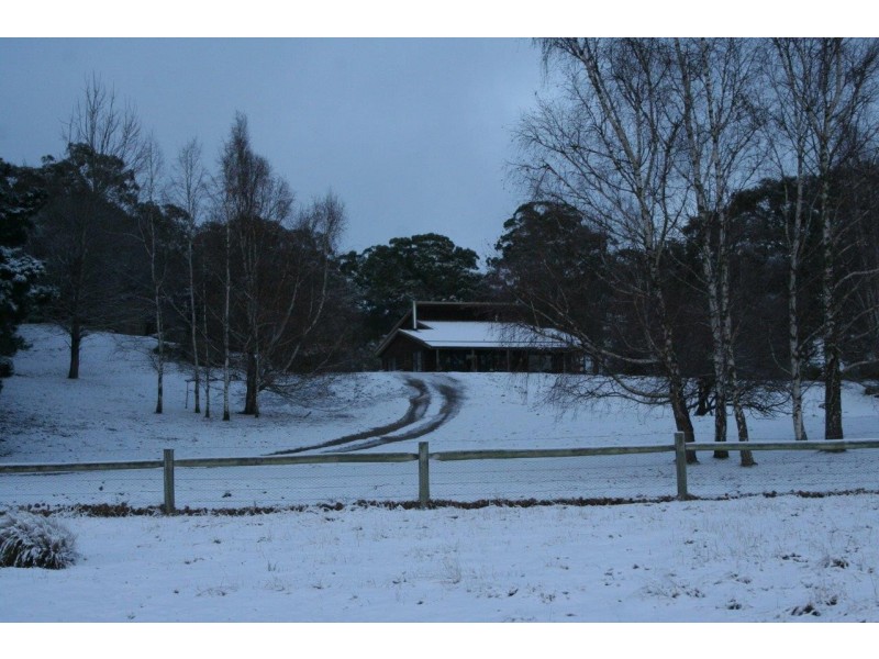 “Moles Station” 248 Hains Road, Nimmitabel NSW 2631