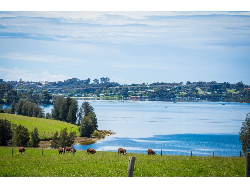 “Wagonga” 313 Riverview Road, Narooma NSW 2546
