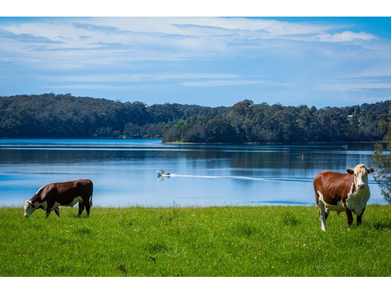 “Wagonga” 313 Riverview Road, Narooma NSW 2546