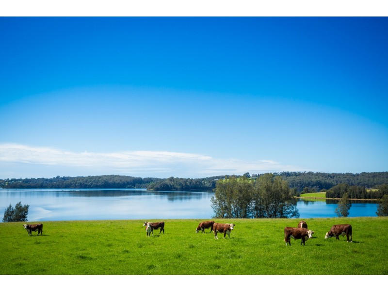 “Wagonga” 313 Riverview Road, Narooma NSW 2546